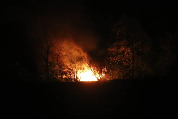 Duży Ogień Pali Się Lesie Nocy — Zdjęcie stockowe