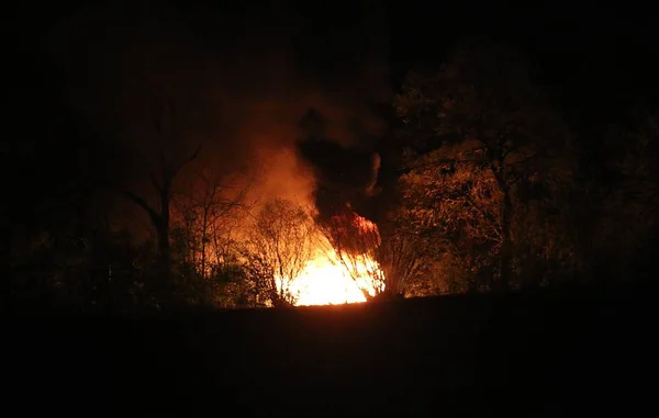 Grand Feu Brûle Dans Forêt Nuit — Photo