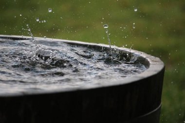 Yağmur, bahçedeki su dolu bir varile düşüyor.