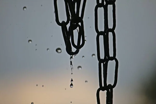 Chuva Está Caindo Uma Corrente Chuva Jardim — Fotografia de Stock