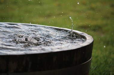 Yağmur, bahçedeki su dolu bir varile düşüyor.