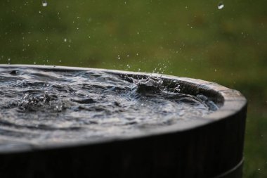 Yağmur, bahçedeki su dolu bir varile düşüyor.