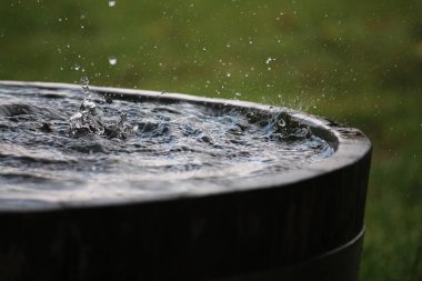 Yağmur, bahçedeki su dolu bir varile düşüyor.