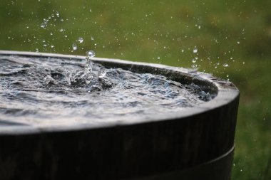 Yağmur, bahçedeki su dolu bir varile düşüyor.
