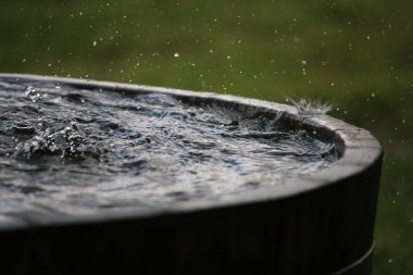 Yağmur, bahçedeki su dolu bir varile düşüyor.