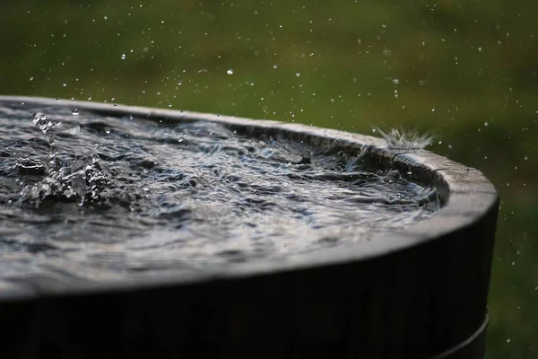 Rain Falling Wooden Barrel Full Water Garden — Stock Photo, Image