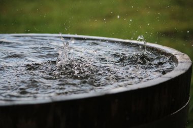  yağmur bir ahşap varil gardensprache fr Stichwrter su dolu düşüyor: Engli