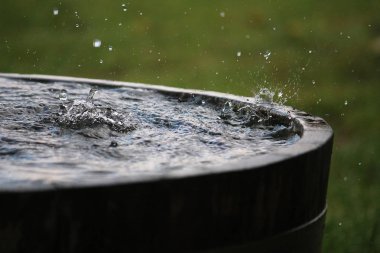 Yağmur, bahçedeki su dolu bir varile düşüyor.
