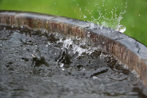 Дождь Падает Деревянную Бочку Полную Воды Саду — стоковое фото