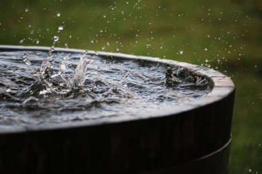 Yağmur, bahçedeki su dolu bir varile düşüyor.