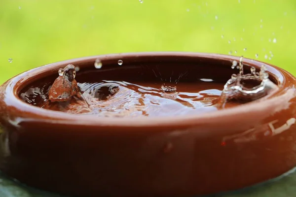 Дождь Льется Керамическую Кормушку Полную Воды — стоковое фото