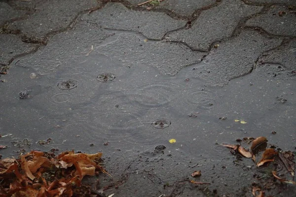 Chuva Está Caindo Uma Pequena Poça Rua — Fotografia de Stock