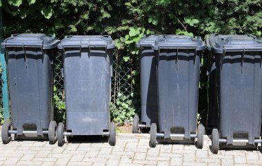 Plastik çöp bidonları yol kenarında bir sırada duruyor.