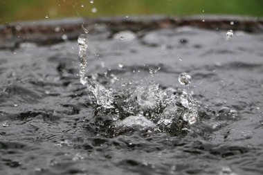 Yağmur, bahçedeki su dolu bir varile düşüyor.