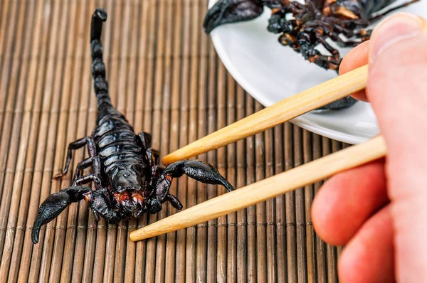 Delicioso Escorpión Frito Negro Palillos — Foto de Stock