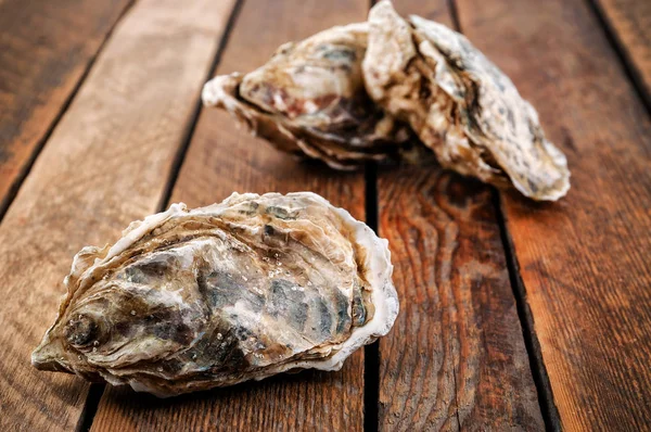 Rauwe Verse Oesters Houten Plank — Stockfoto