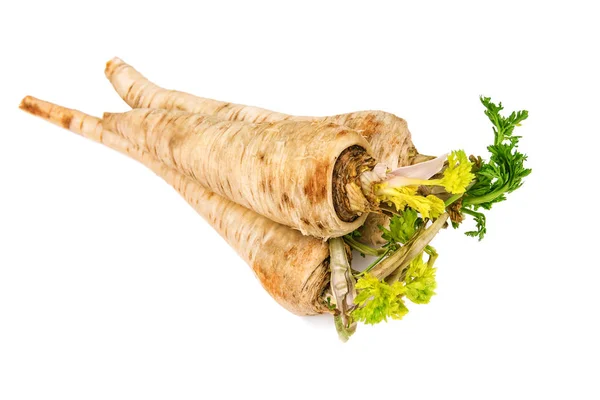 Heap Raw Parsley Roots Isolated White — Stock Photo, Image