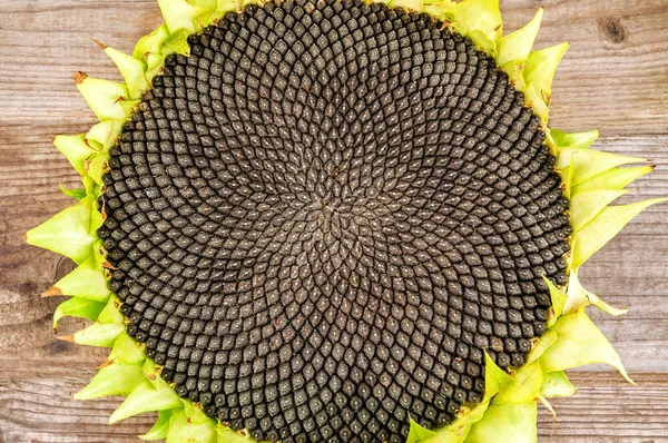 Olgun ve yemyeşil sunfloves tohumlar üzerinde ahşap arka plan ile