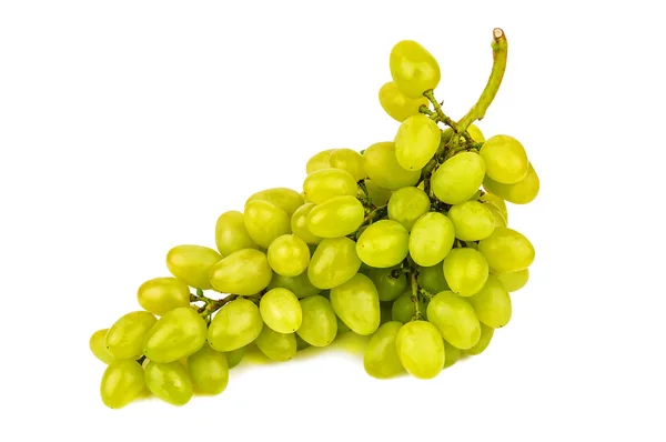 Green Juicy Grape Isolated White — Stock Photo, Image