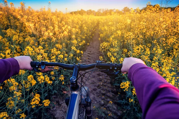 Fahrradtour Rapsfeld Bei Sonnenuntergang Sonnenaufgang — Stockfoto