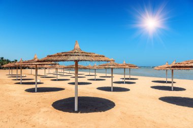 Hasır şemsiyeleri sahilde. Tatil Tema