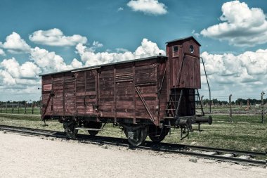 Ulaşım vagon Müzesi Auschwitz Birkenau'da, Oswiecym. Polonya