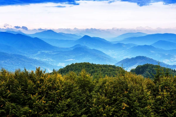 Landscape Green Forest Carpathians Mountains — Stock Photo, Image