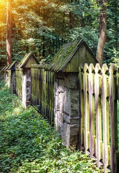 Alter Moosiger Zaun Wald — Stockfoto