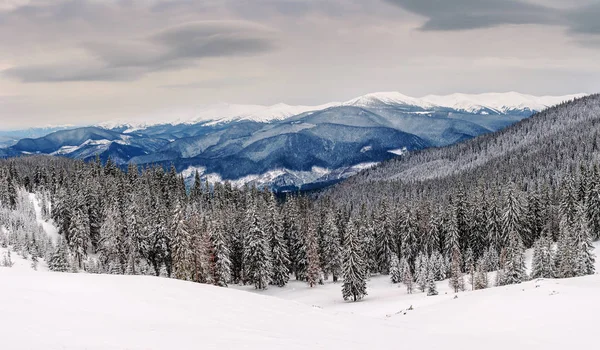 Panorama Paisagem Montanhas Inverno Sob Céu Nublado — Fotografia de Stock