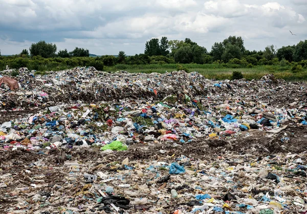 Звалище Біля Лісу — стокове фото