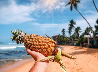 Elinde olgun sulu ananas