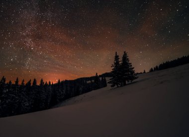 Ay ışığında karla kaplı peri ormanı. Yıldızlı gökyüzünde Samanyolu. Noel ve Yeni Yıl Kış gecesi.