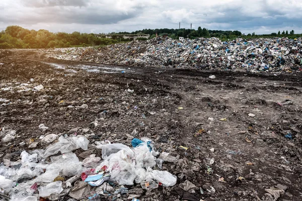 Plastic Garbage Illegal Dump — Stock Photo, Image