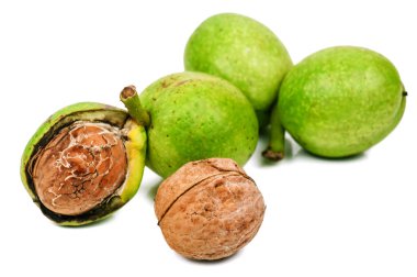 Yeşil kabuklu olgun cevizler beyaz arka planda izole edilmiş.