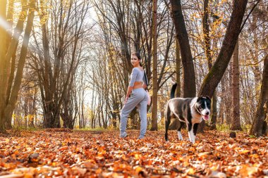 Sonbahar parkında kız ve köpek