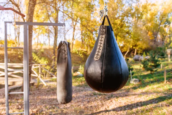 Dva Černé Boxerské Pytel Podzimním Parku — Stock fotografie