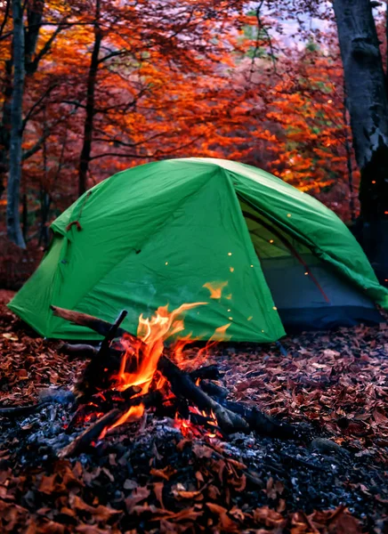 Φωτιά Και Σκηνή Στο Δάσος Του Φθινοπώρου — Φωτογραφία Αρχείου