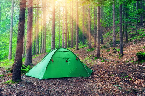春天森林里的绿色帐篷 — 图库照片