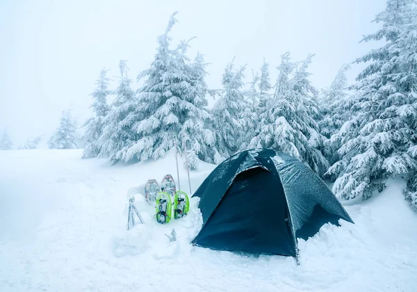 Tent on the snow in winter Carpathian mountains. Extreme hiking. Winter camping