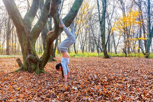 ストレートハンドで体操スタンドを行う女の子 公園秋 — ストック写真