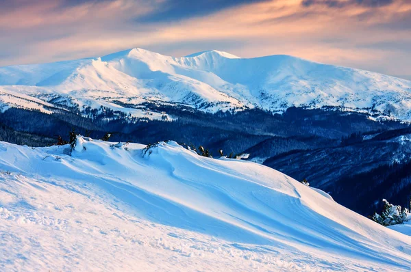 Cumulo Neve Alta Inverno Montagne Carpatiche — Foto Stock