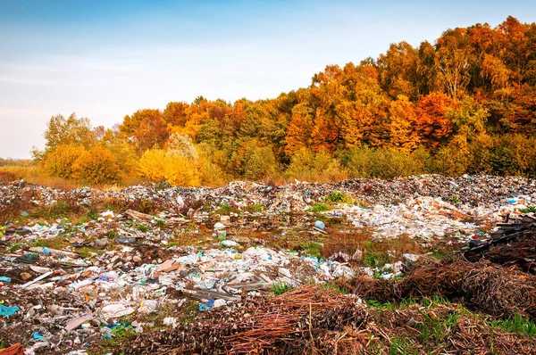 Illegal Landfill Dump Autumn Forest — Stock Photo, Image