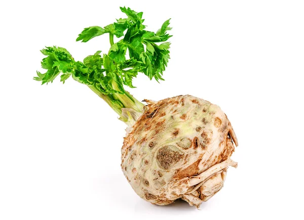 Raw Celery Root Isolated White — Stock Photo, Image