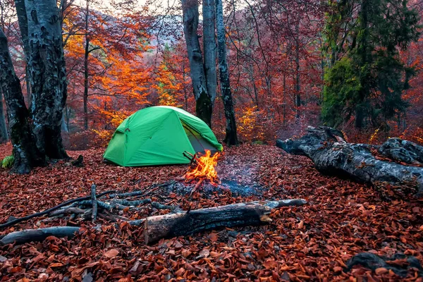 Kızıl Sonbahar Ormanında Kamp Ateşi Çadır — Stok fotoğraf