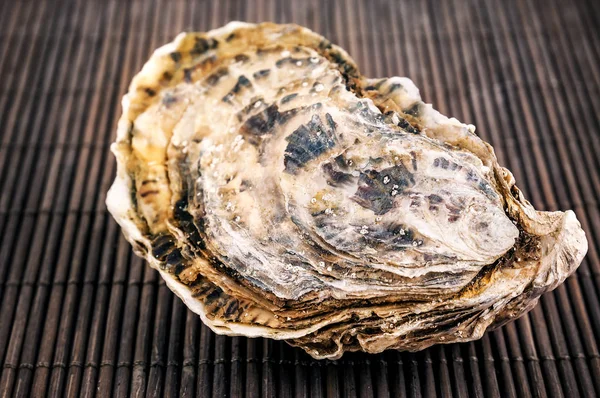 Ostras Cruas Frescas Comida Mar — Fotografia de Stock