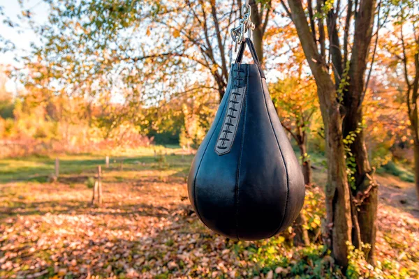 Černá Kožená Boxerská Taška Podzimním Parku — Stock fotografie