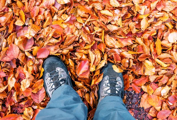 Kuru sonbahar yapraklarında yürüyüş botları içinde bacaklar.