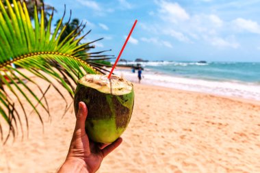 Elimde taze hindistan cevizi var.