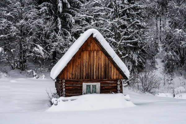 冬季森林中的废弃木屋 — 图库照片