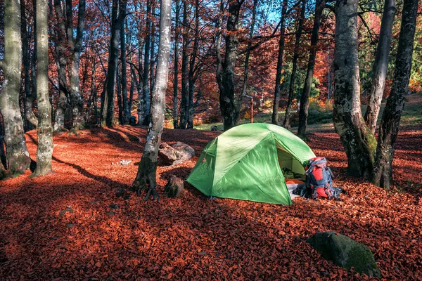 Sonbahar ormanında kamp yapmak. — Stok fotoğraf